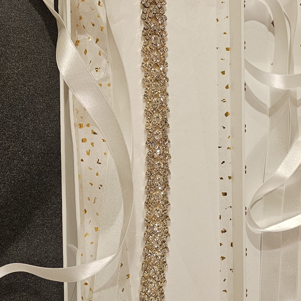 UNTAMED PETALS BY AMANDA JUDGE Sparkling Gold and Silver Belt